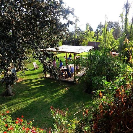 La Casa Del Tilo Acomodação com café da manhã Hacienda Santa Rosa Exterior foto